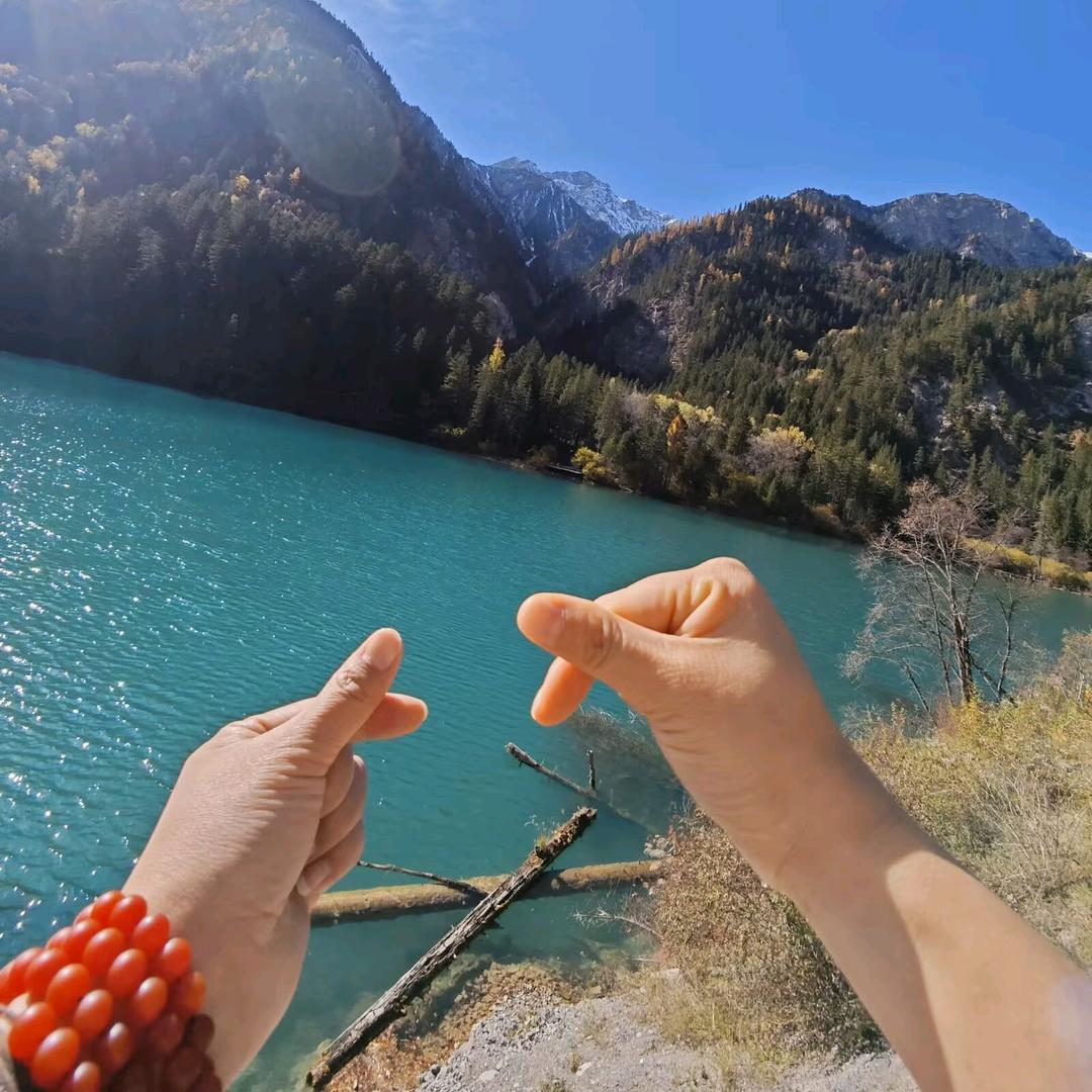 白菜姐妹向前冲