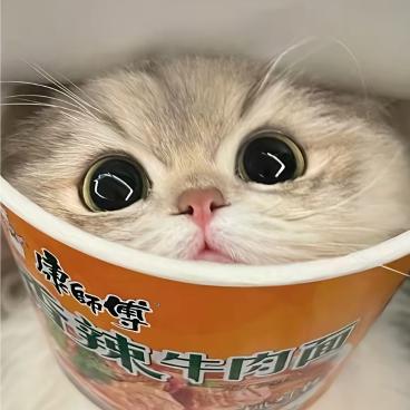 丢丢🕸⁰⁷³¹