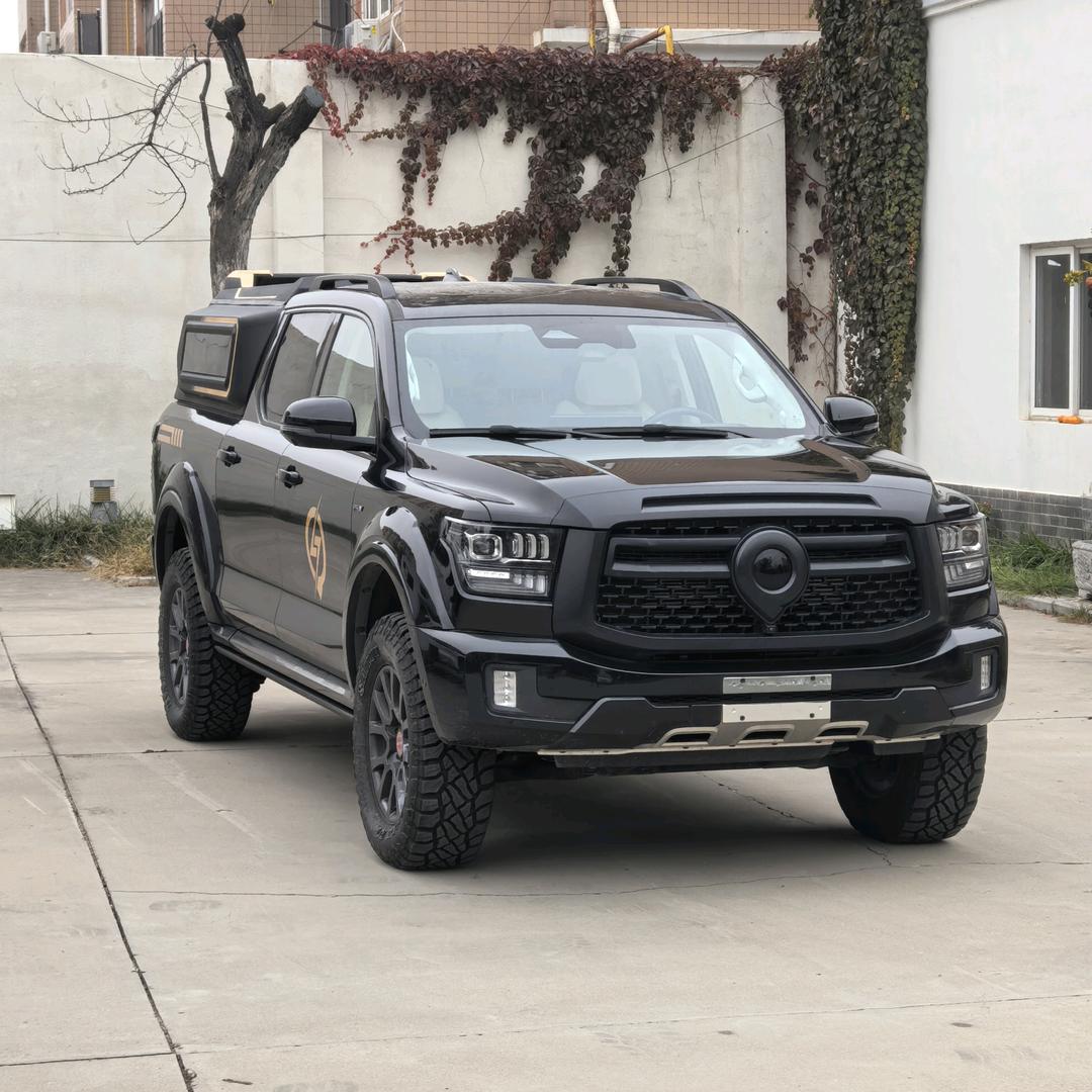 长城旅居皮卡-志森