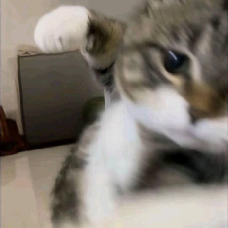 喜子