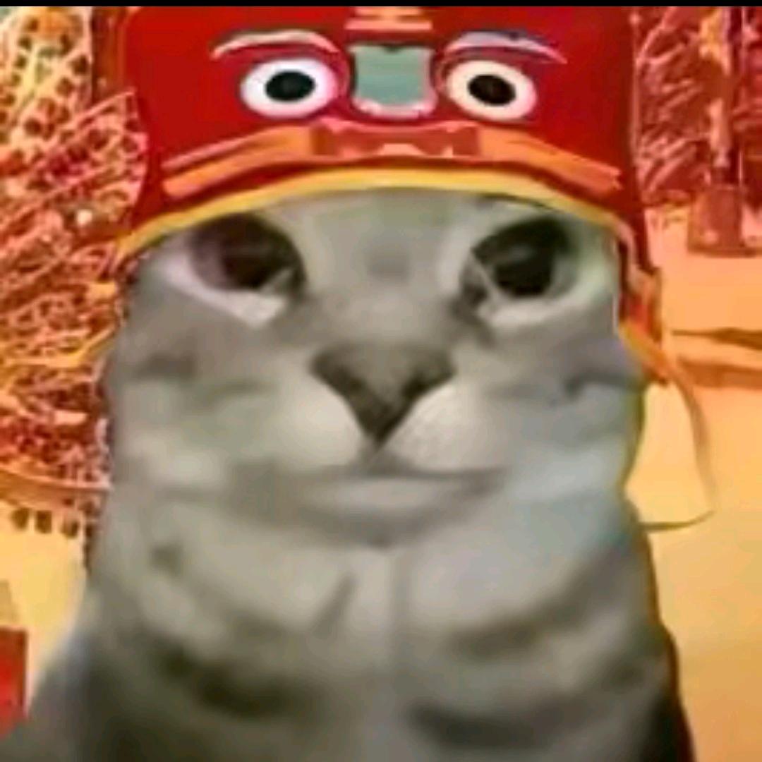 6Y