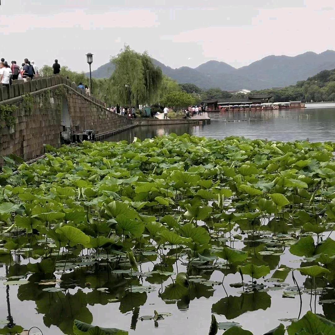 春暖花开