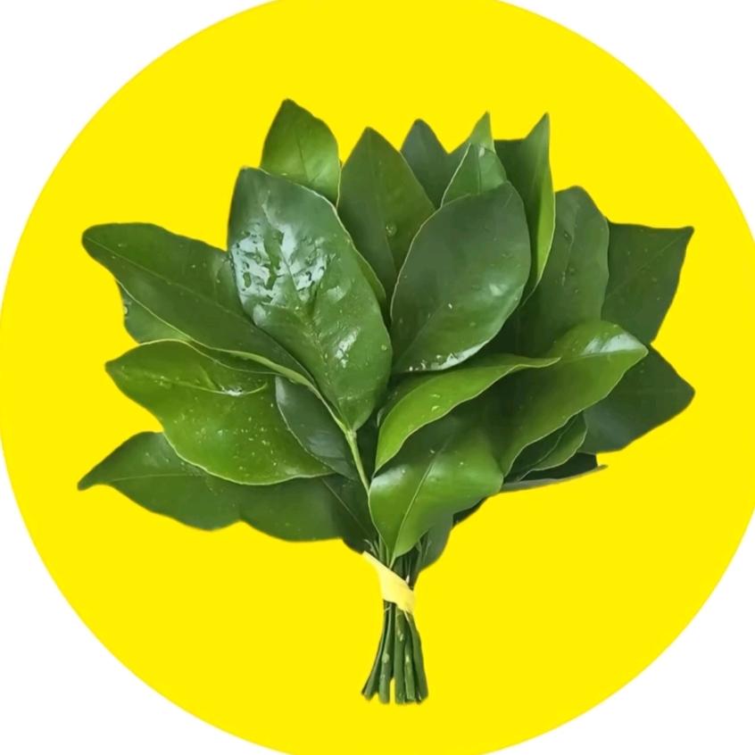 果果麻🌻《一个人带三娃》