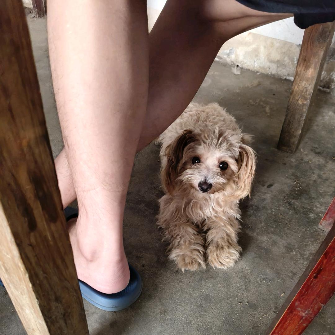 财神爷的小宝贝
