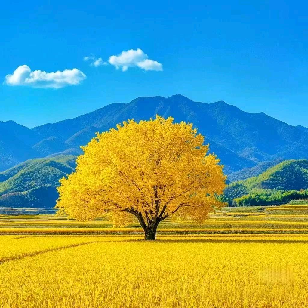 烟火厨房