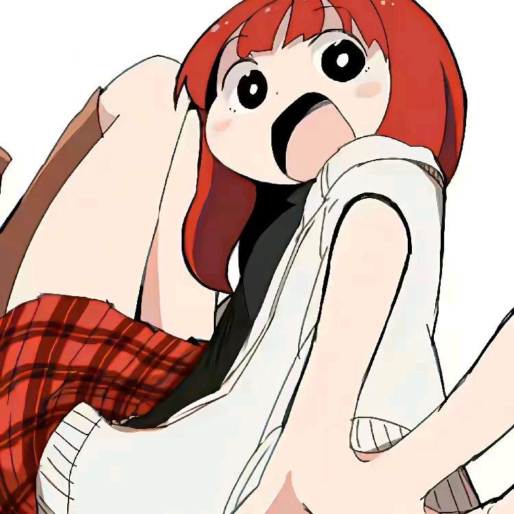 是啥子鸭