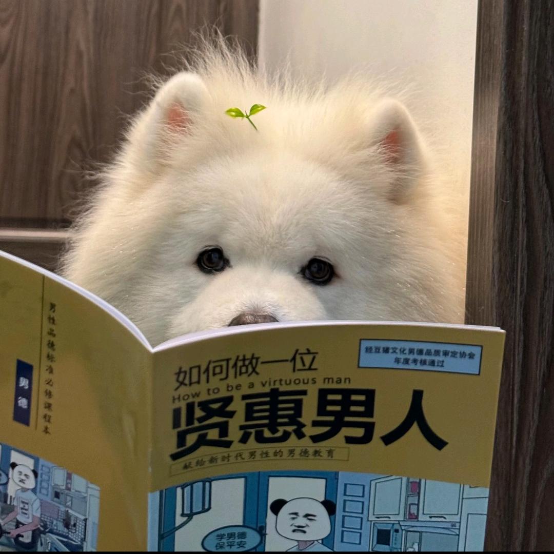 劫
