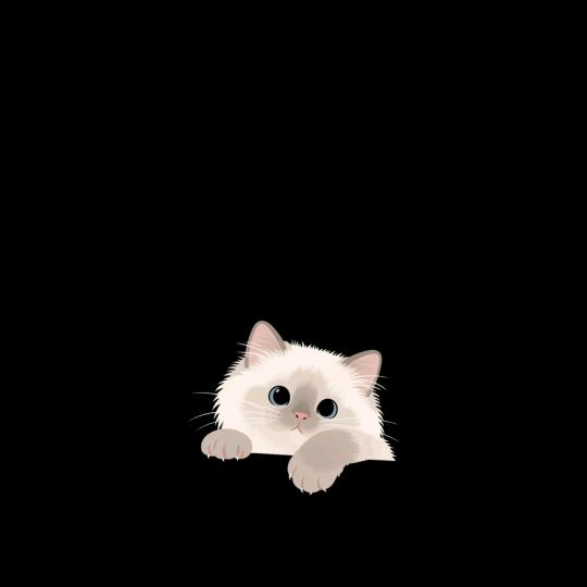 酷暑（养成系）