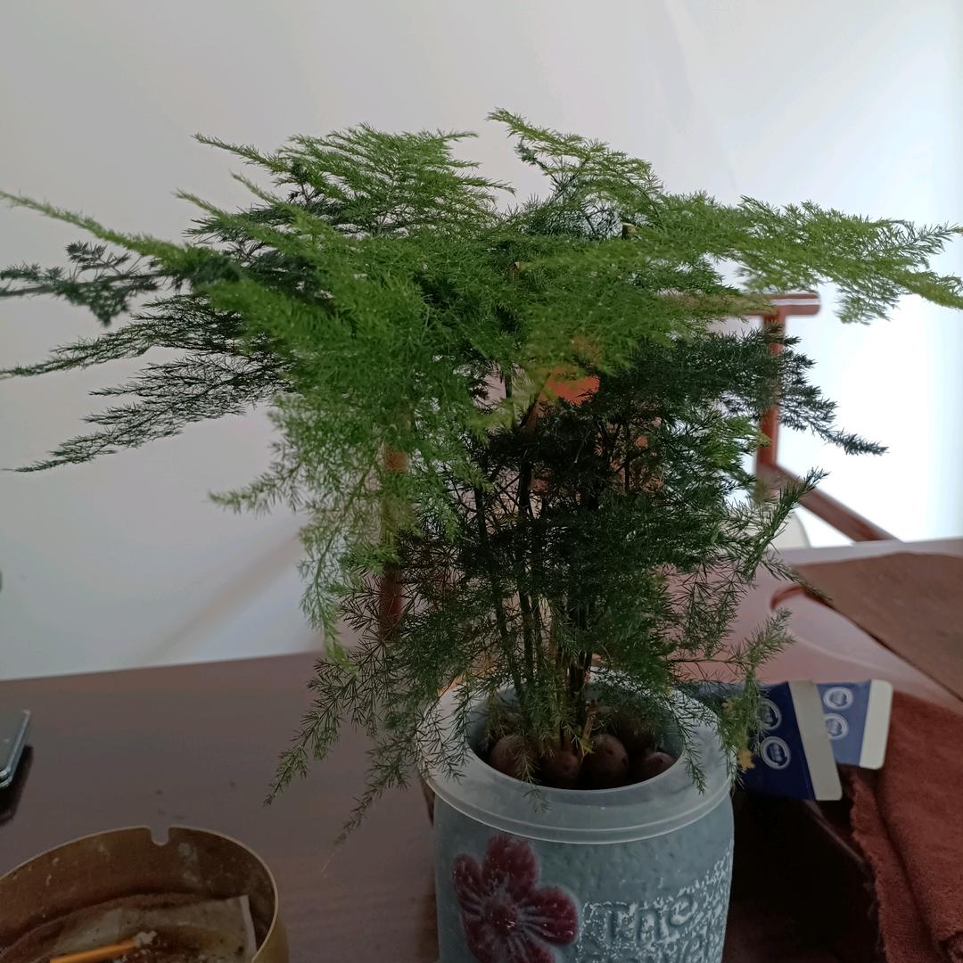 揉筋阁新中式按摩养生