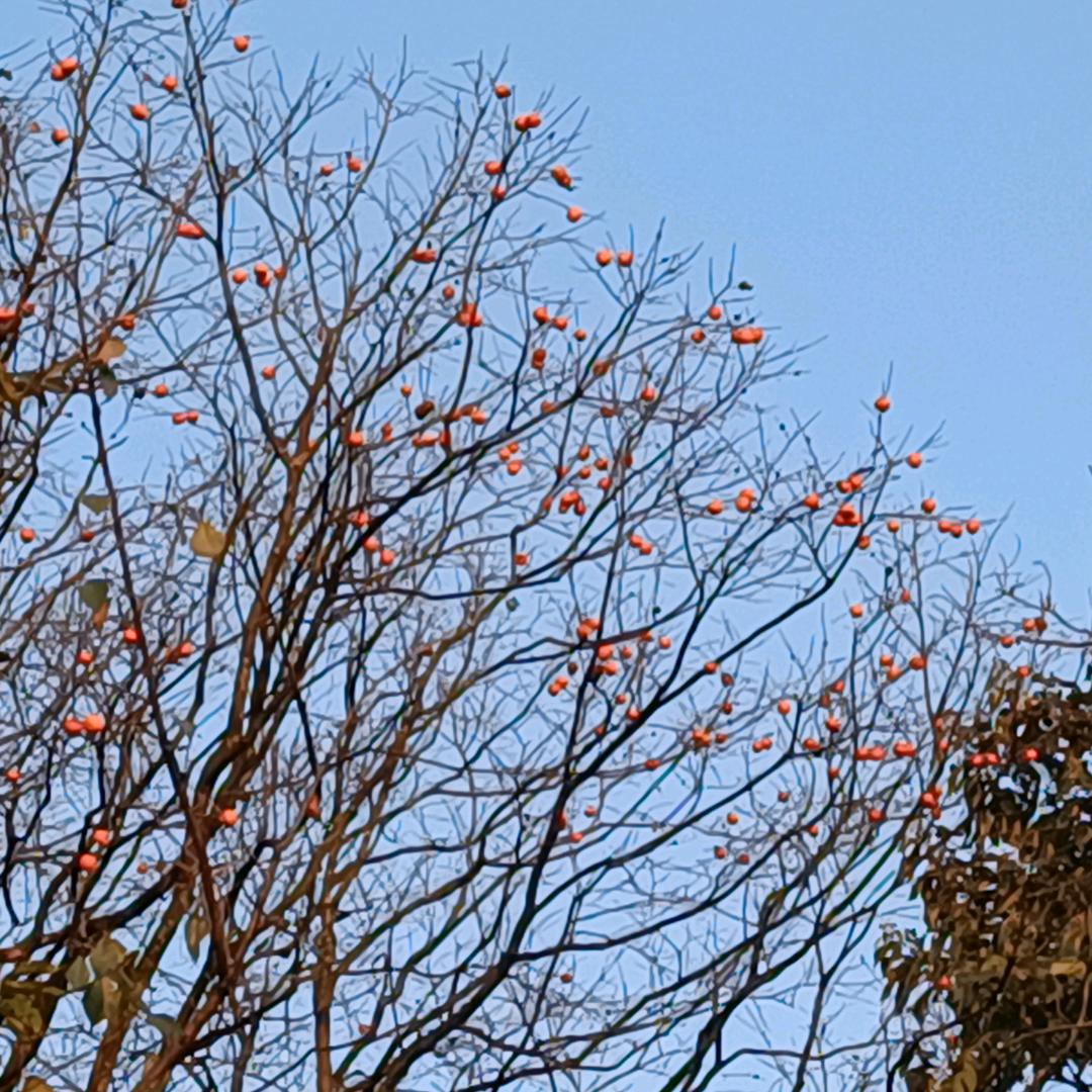 💔ꦿ໊韦姐姐拒绝ꦿ꯭私聊꧔ꦿ