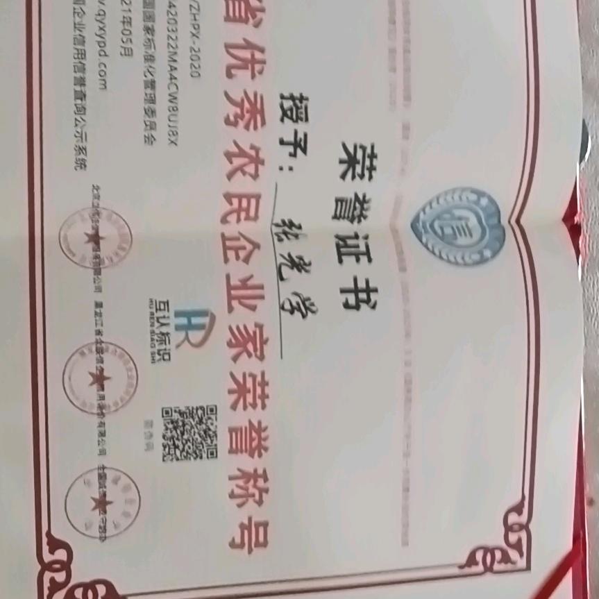 湖北农民育药苗