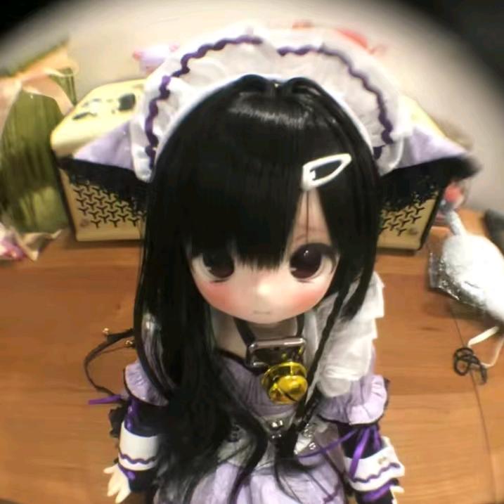 放风橘猫