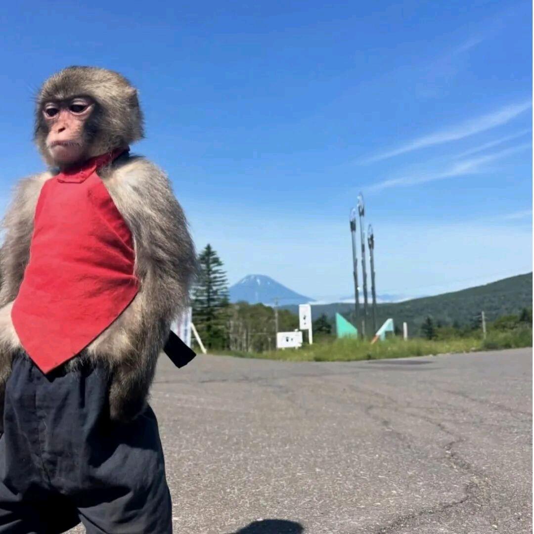 米七七