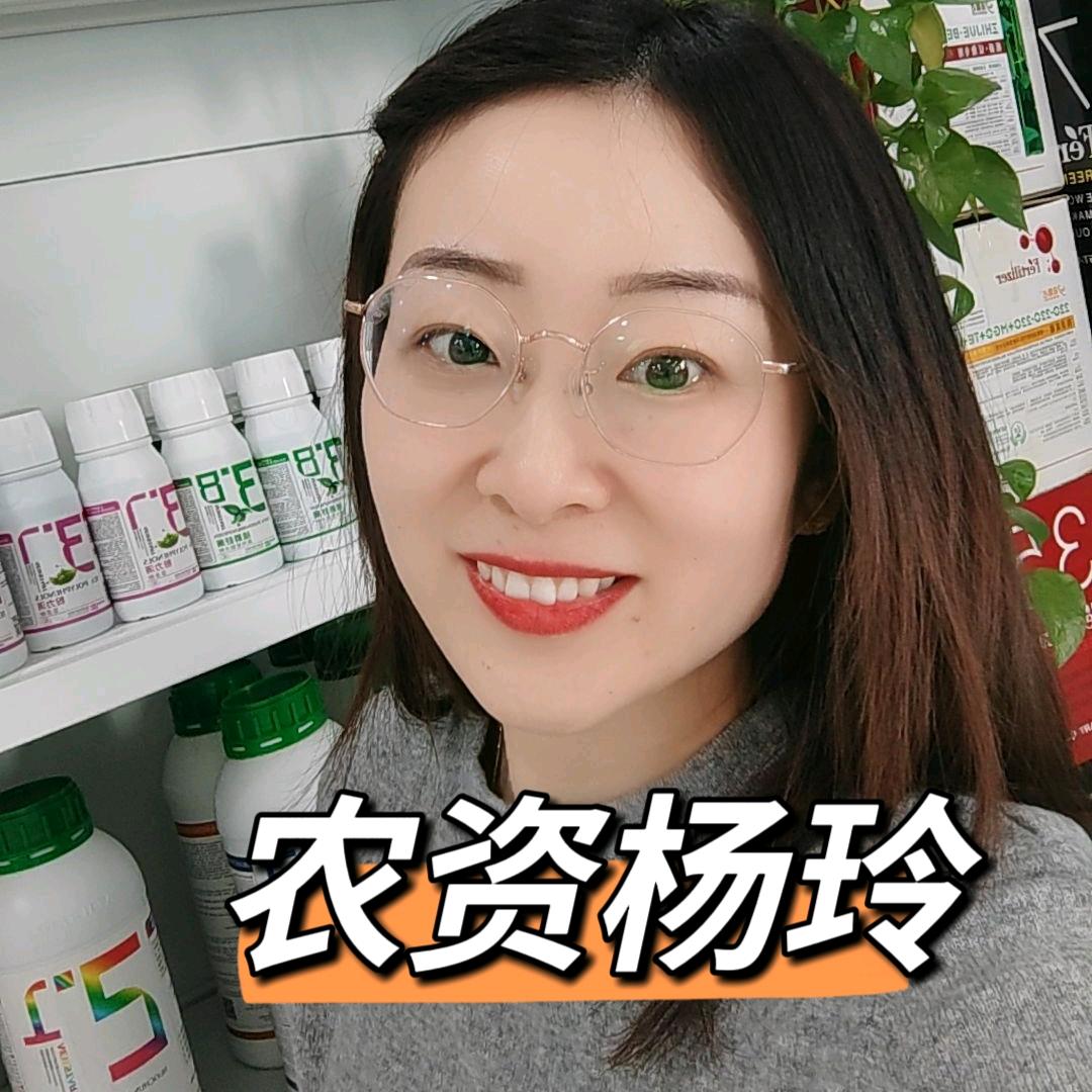 农资杨玲