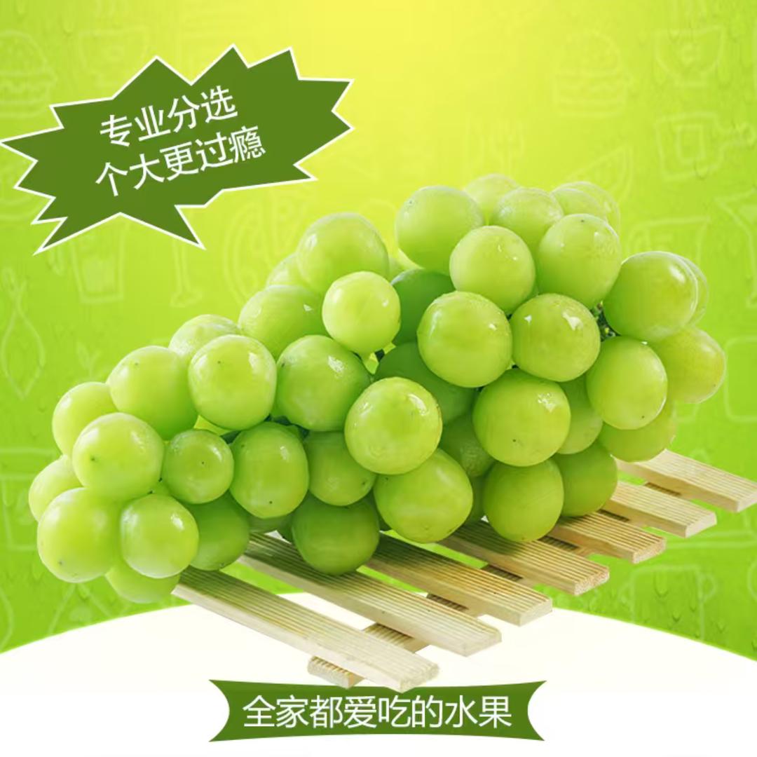 海州区百鲜汇严选店