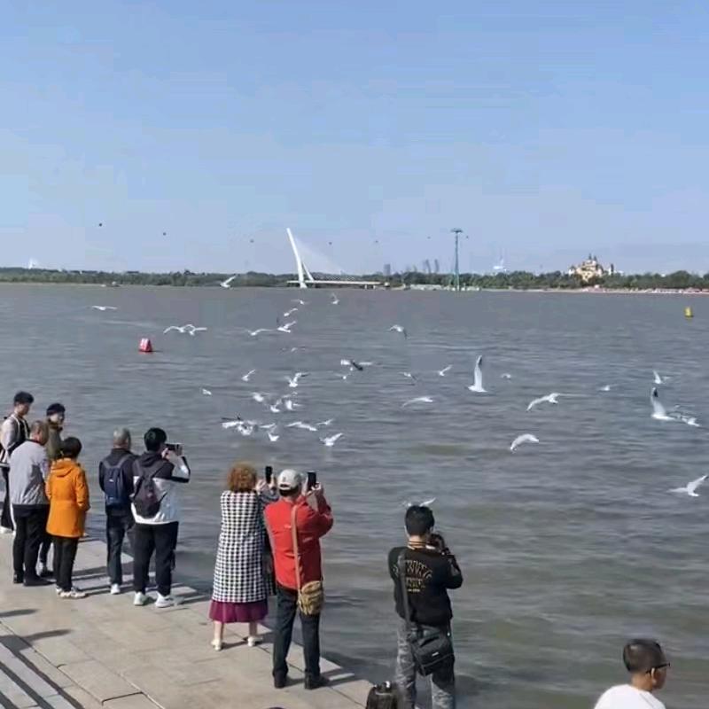 百万姐姐888
