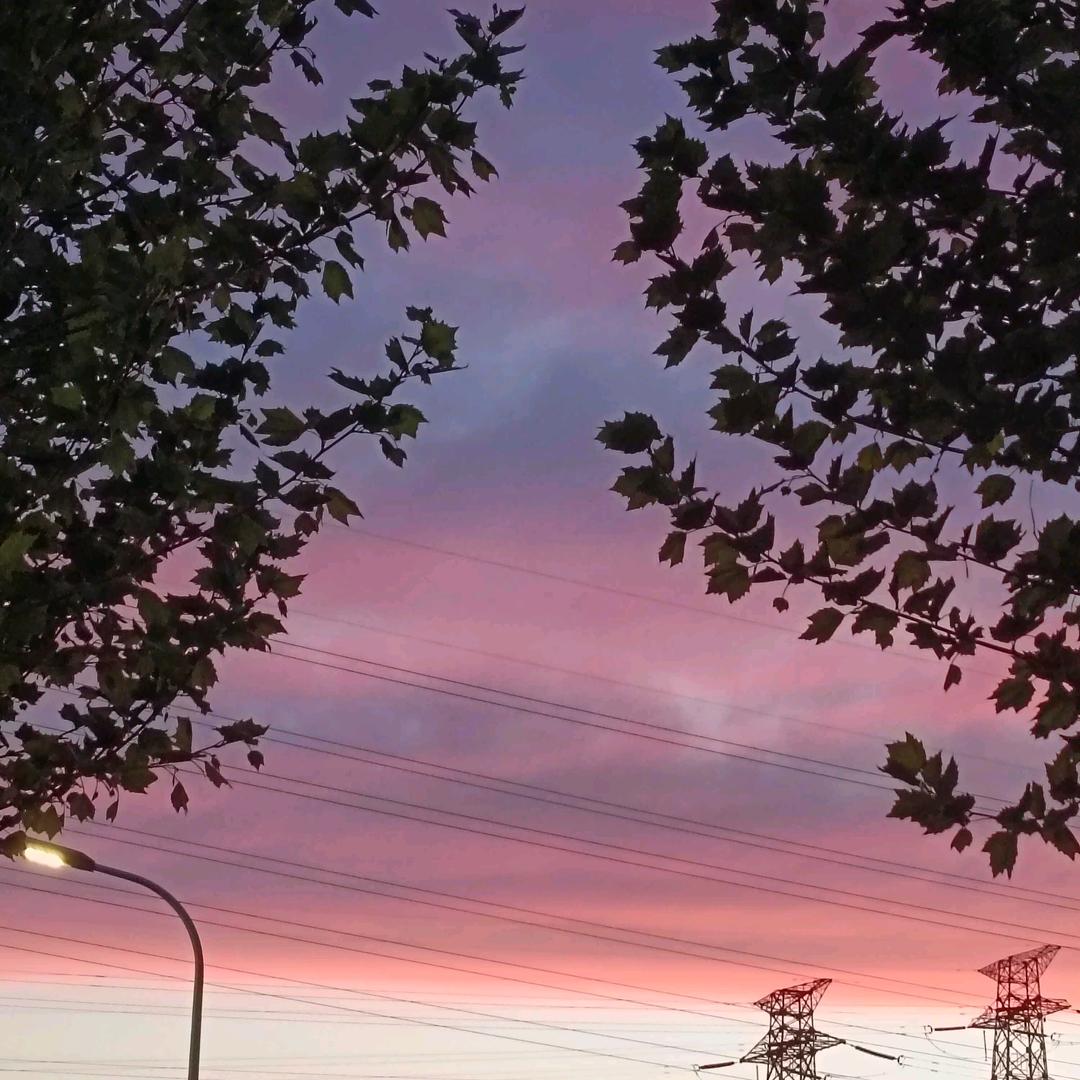 开心🍎🍎🍎🌻🌻🌻