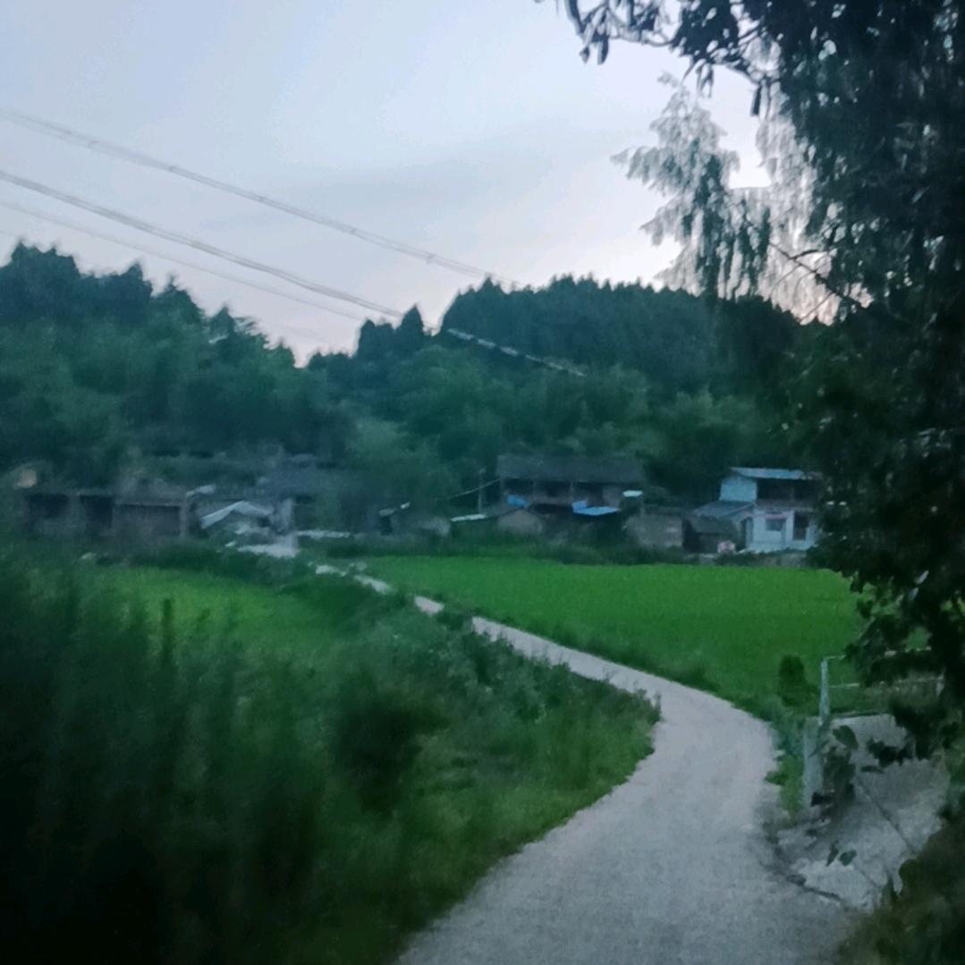 最好的时光