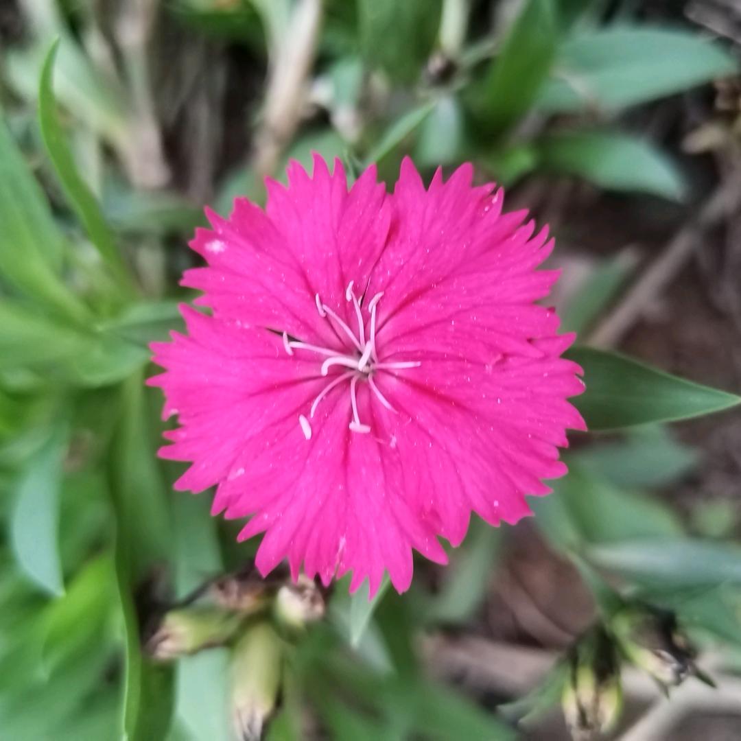 汐汐