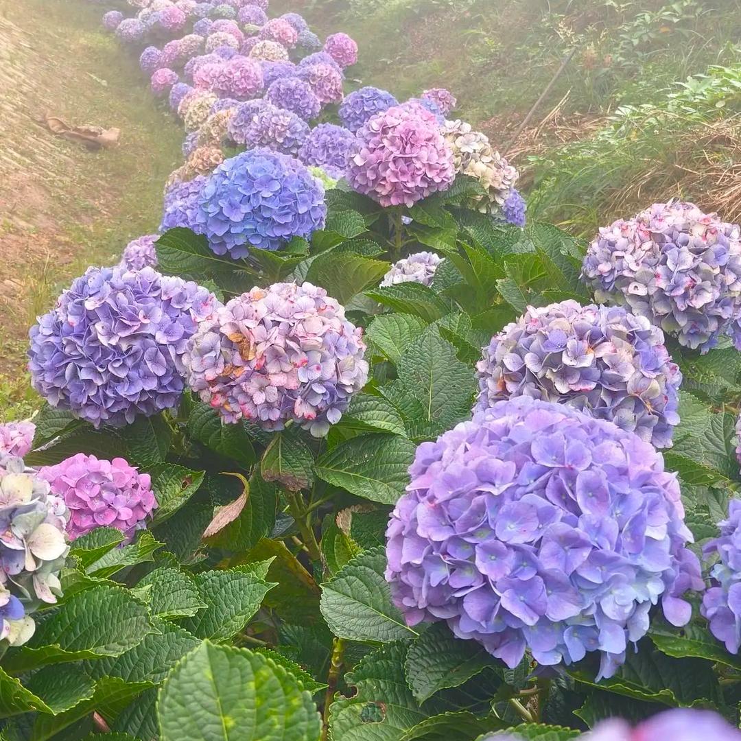 错了什么的事，我不明白