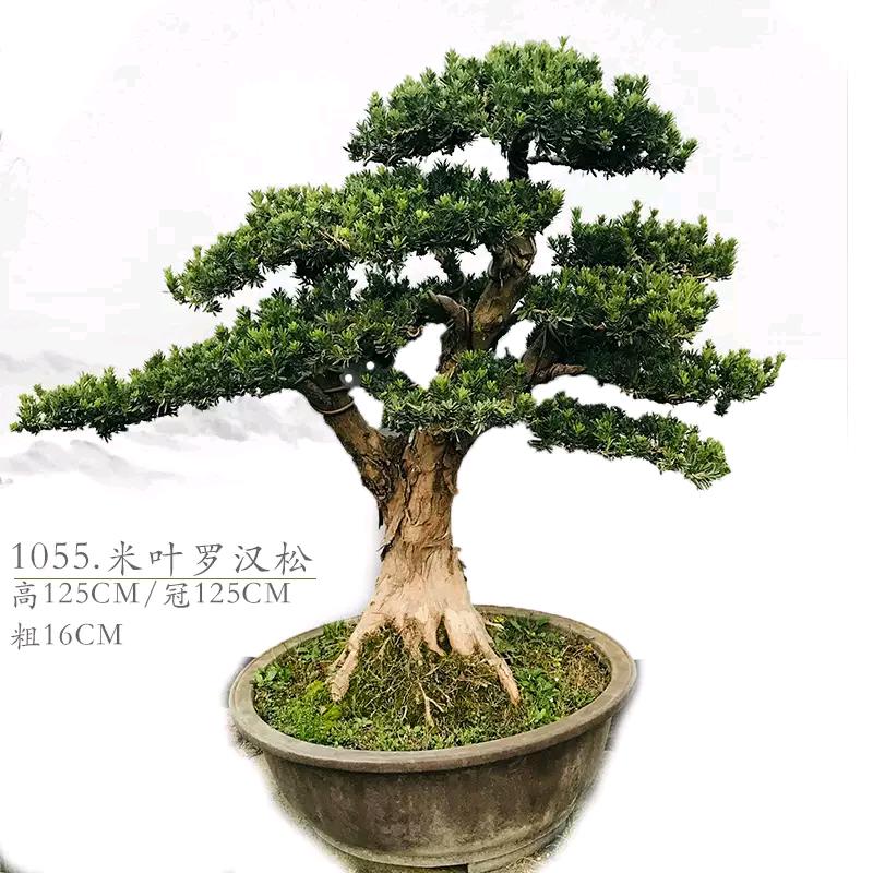萧闻好物