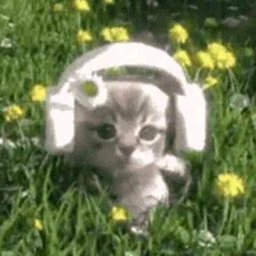 喝水就喝脑白金