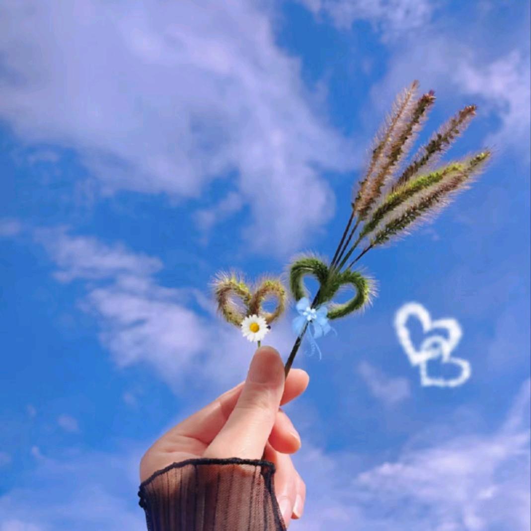 ꦿ Chꕤen·ᰔᩚ࿐