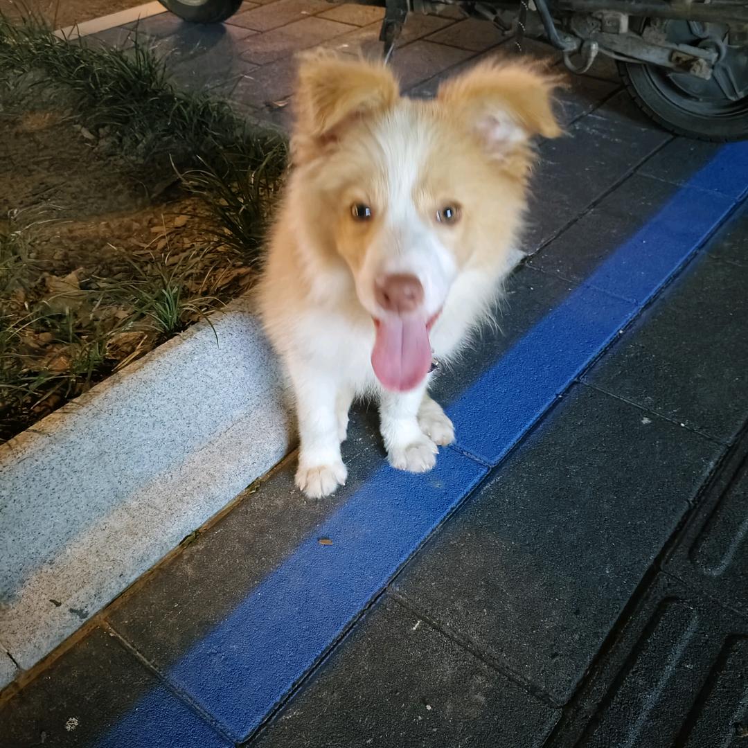 手拿长矛戳你腚