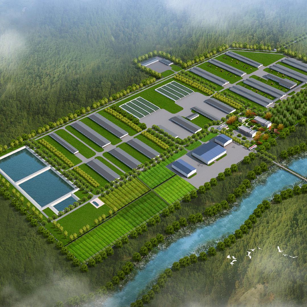 格桑塘（加工厂）