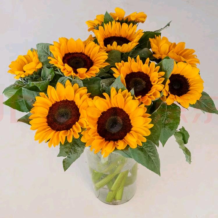 威海喜洋洋商厦床品组