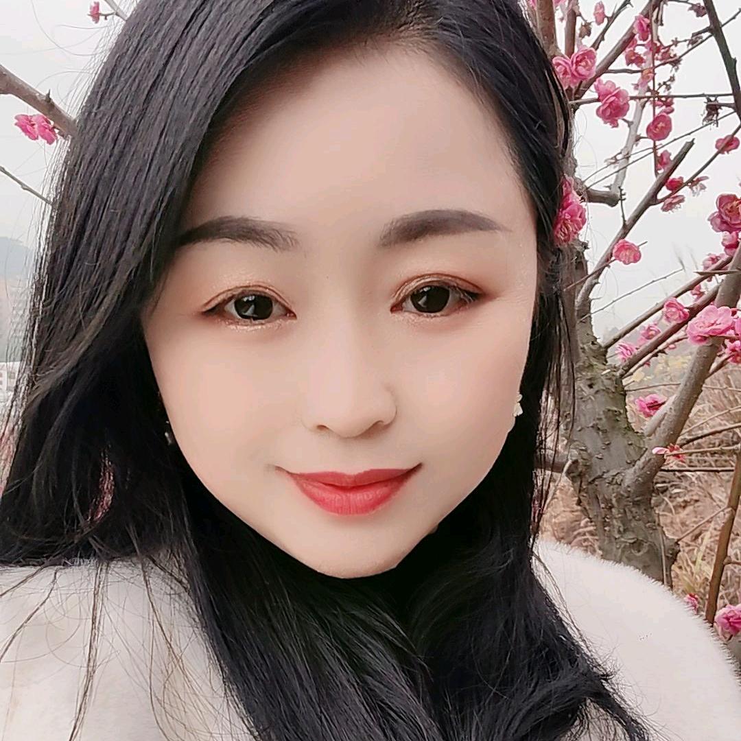 a金燕子
