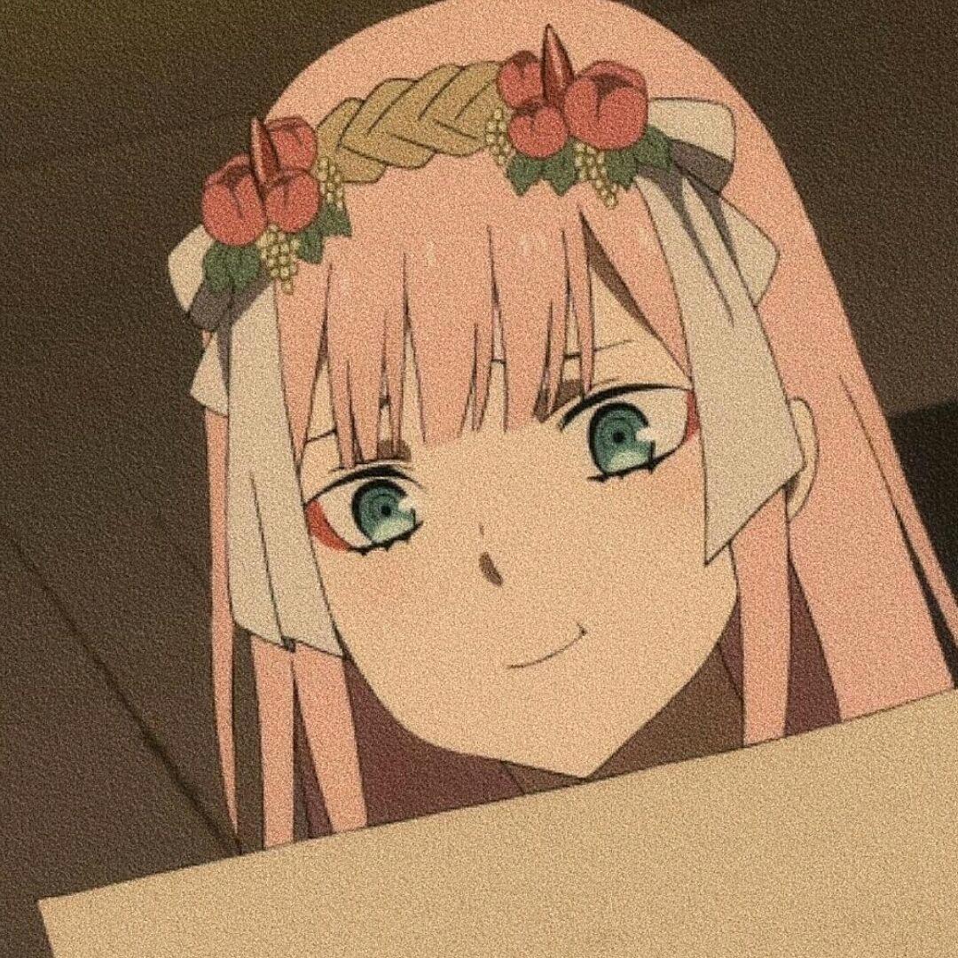 月色不妒星辰