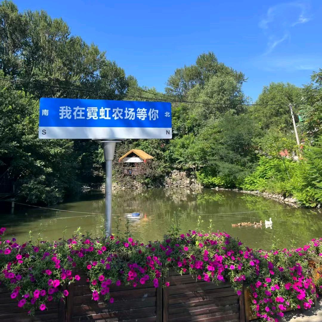 霓虹农场 露营地