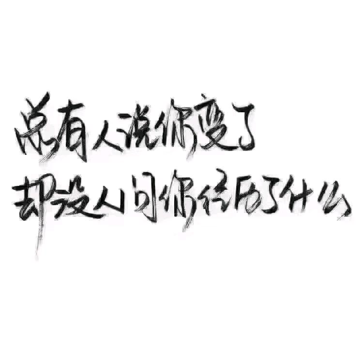 一只小绵羊