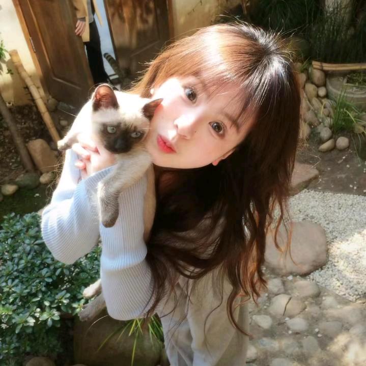 梨梨酱ᗦ↞◃