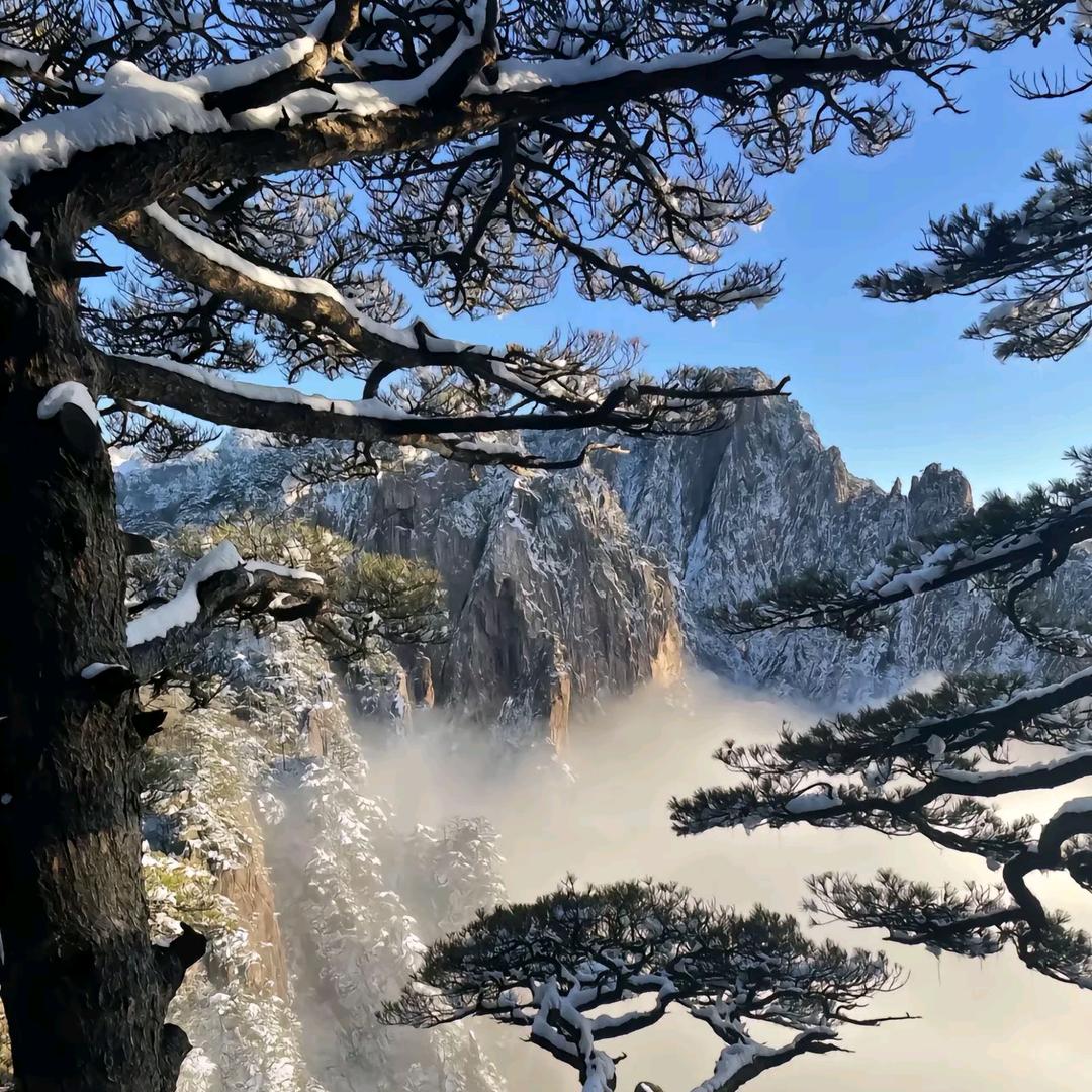 高山下的花环