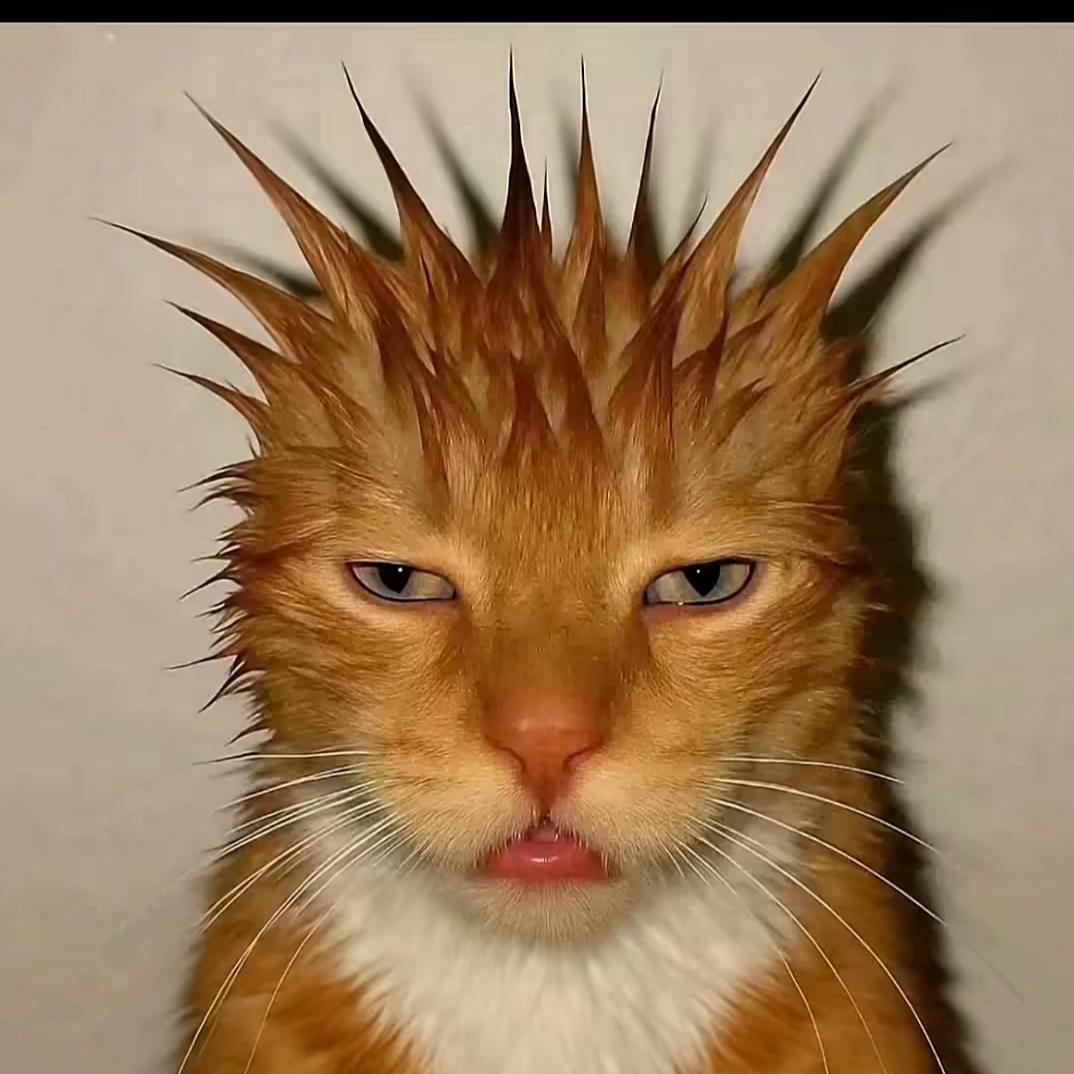 吃土豆长大的马铃薯