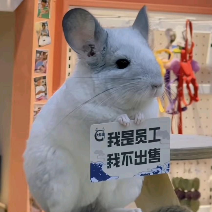 亦难