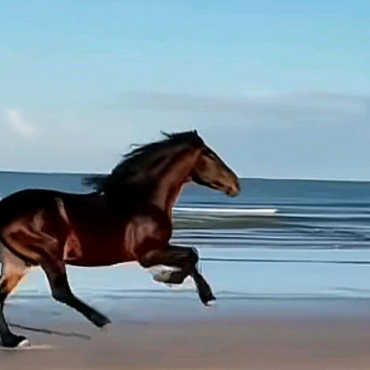 666（韬光养晦）