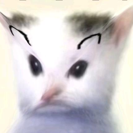 111
