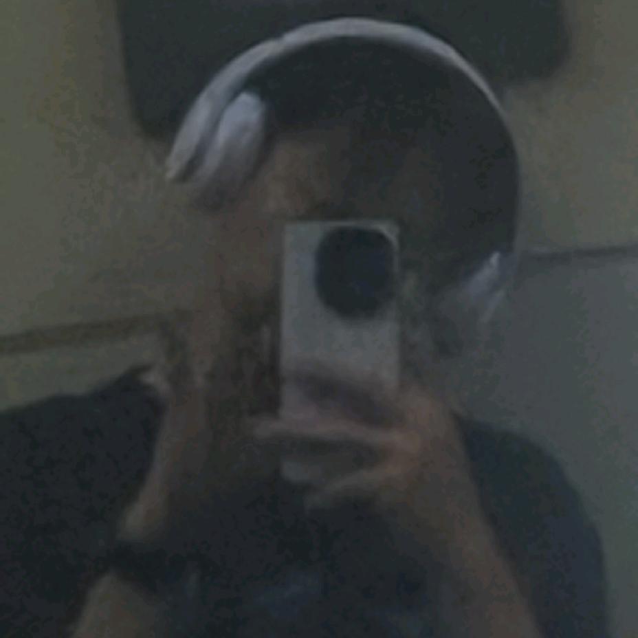 猪