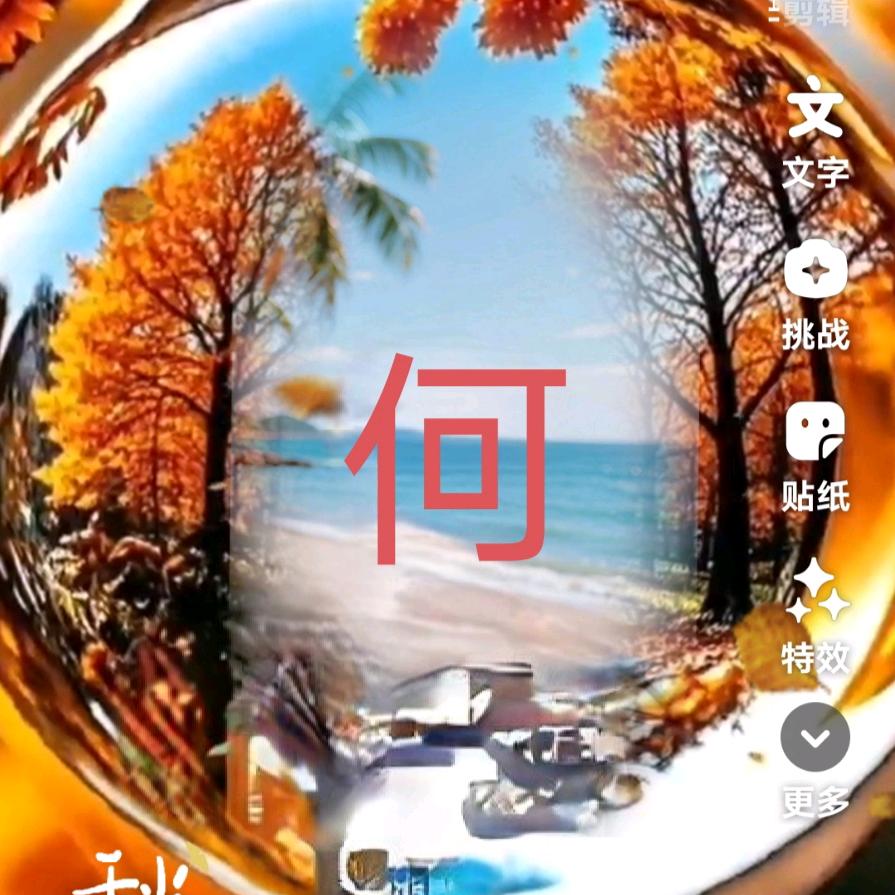 风雨人生