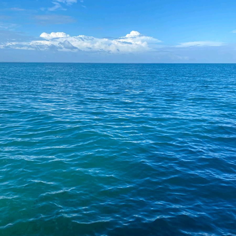 唯♥一♥的♥失♥忆♥