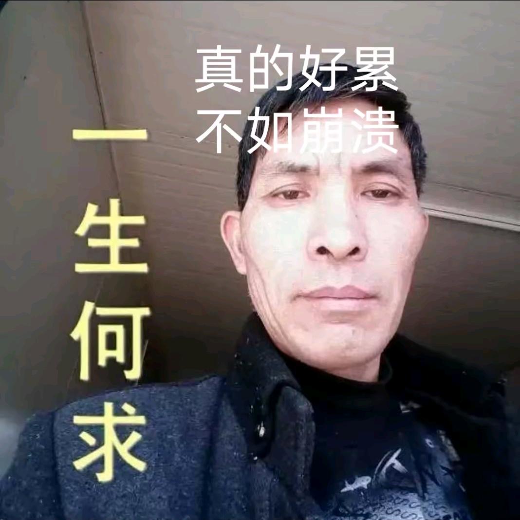 一见忠陈1