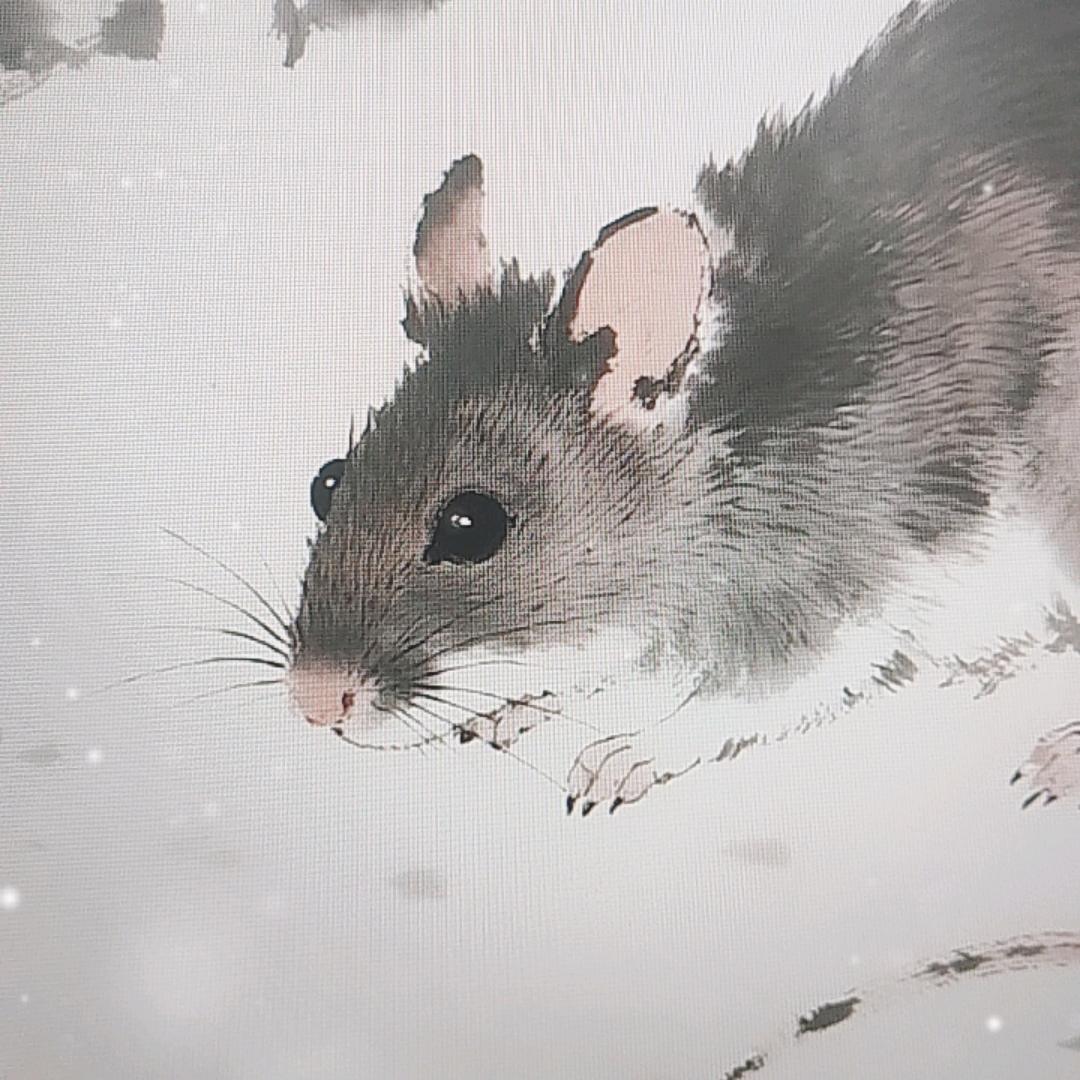 武汉水冬梅