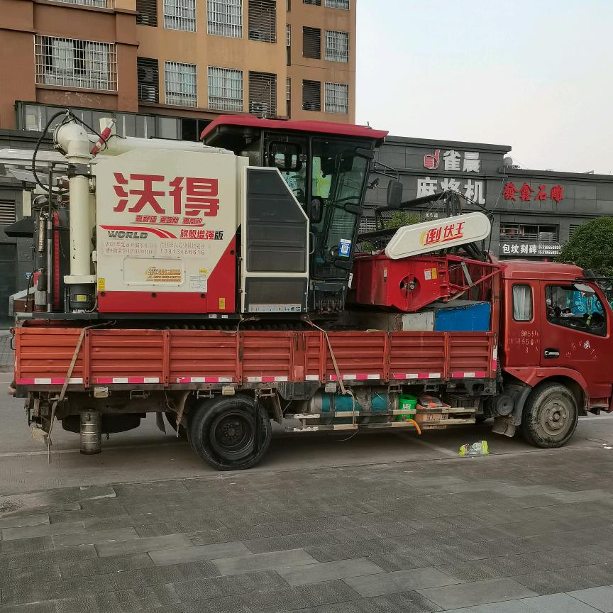 玫瑰花