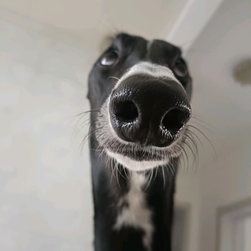 朶啦啦