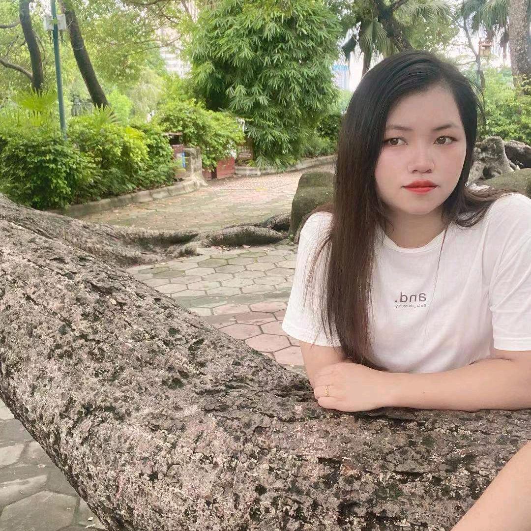迷路的小鸟