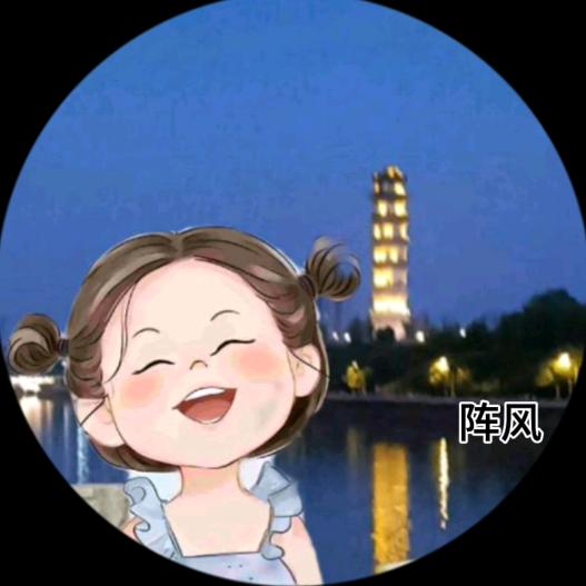 阵风（好玩抖抖）