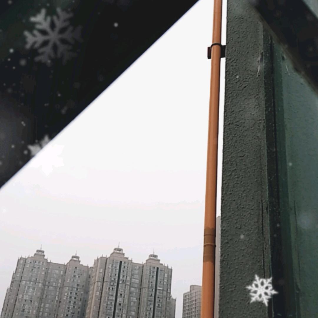 神武飞扬
